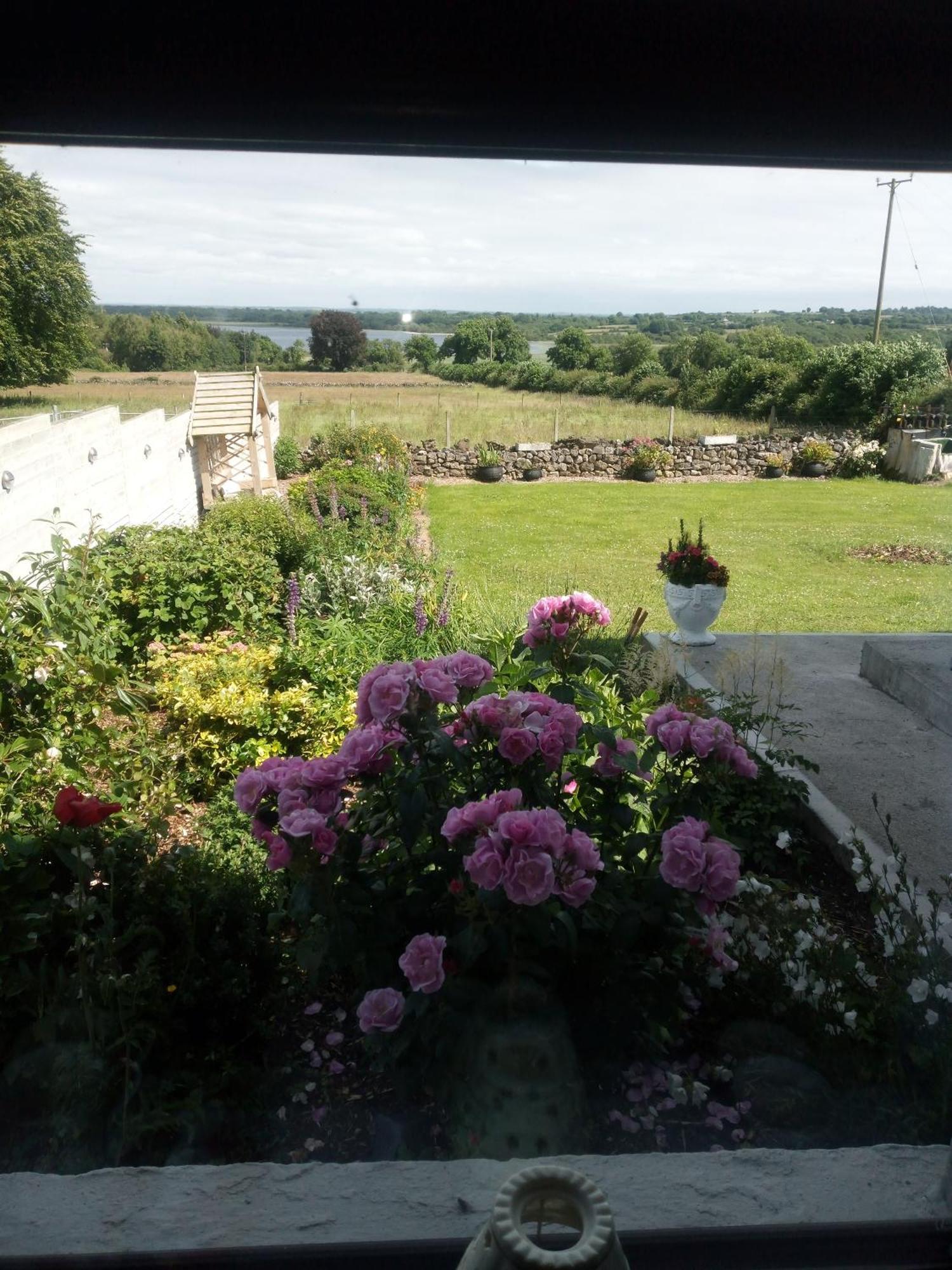 Blackbrink Cottage Roscommon Exterior foto